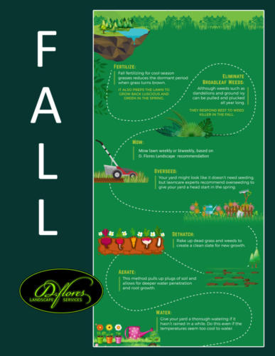 Fall lawn chores