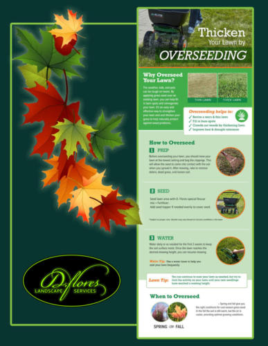 seeding springfall